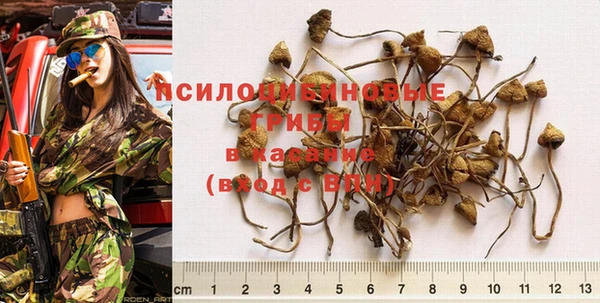 синтетический гашиш Михайловка