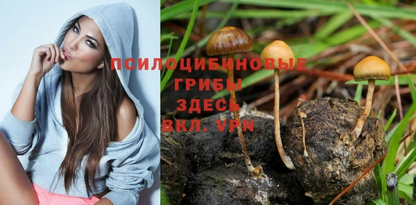 ешки Аркадак