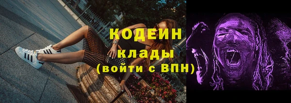 ешки Аркадак