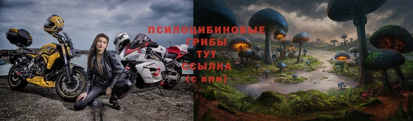 дмт Армянск