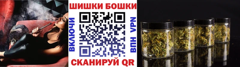 Бошки Шишки гибрид  купить наркотик  Макарьев 